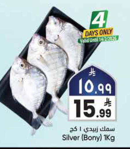 available at ستي فلاور in مملكة العربية السعودية, السعودية, سعودية - الرياض