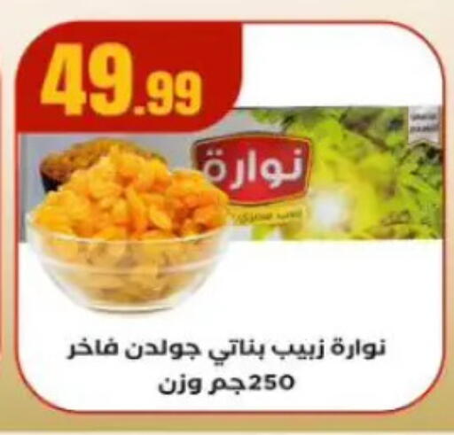 available at المحلاوي ستورز in Egypt - القاهرة