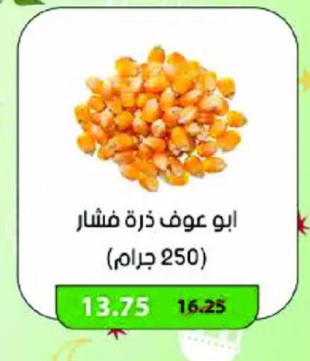 available at رويال هاوس in Egypt - القاهرة