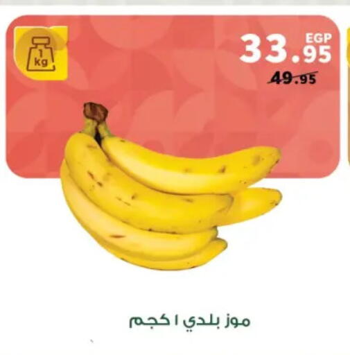 available at Panda  in Egypt - Cairo