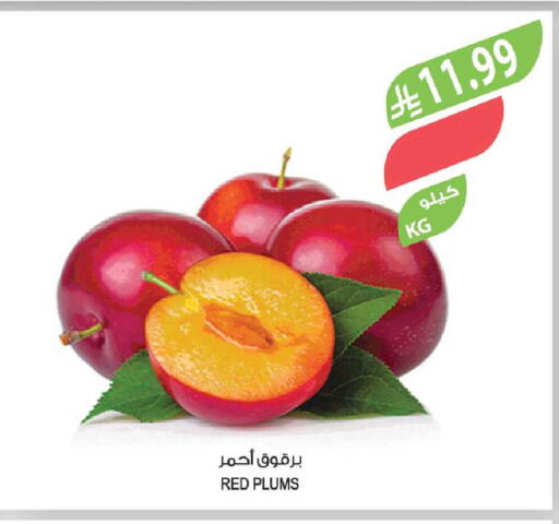 Plums available at Farm  in KSA, Saudi Arabia, Saudi - Yanbu