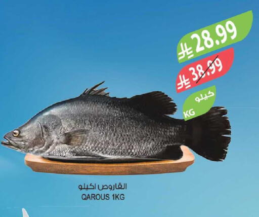 available at المزرعة in مملكة العربية السعودية, السعودية, سعودية - الخبر‎