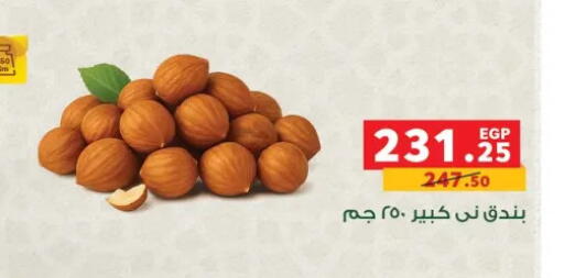 available at بنده in Egypt - القاهرة