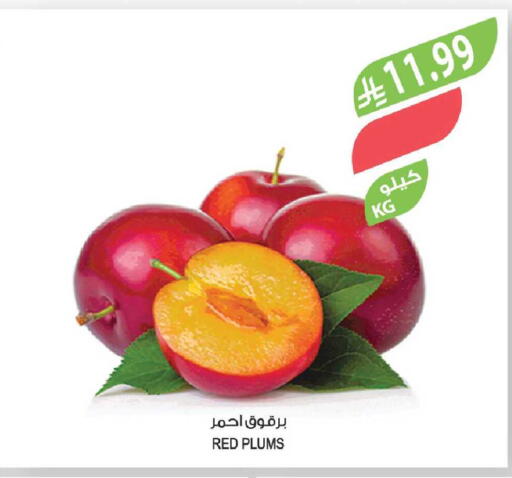 Plums available at المزرعة in مملكة العربية السعودية, السعودية, سعودية - الخبر‎