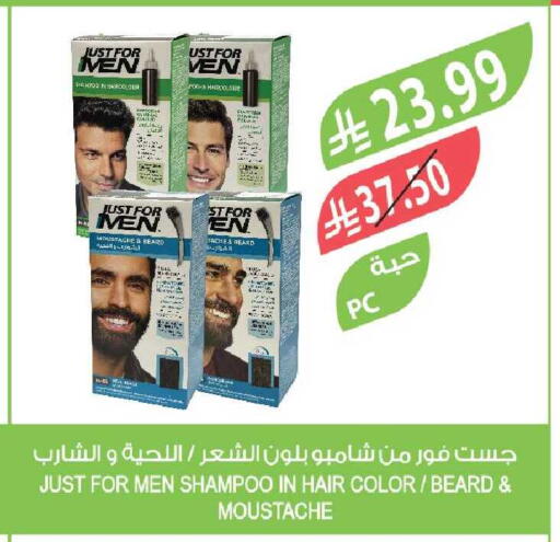 available at المزرعة in مملكة العربية السعودية, السعودية, سعودية - سكاكا