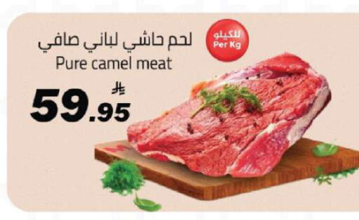 available at مخازن هايبرماركت in مملكة العربية السعودية, السعودية, سعودية - تبوك