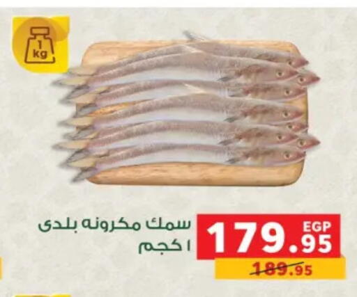 available at بنده in Egypt - القاهرة