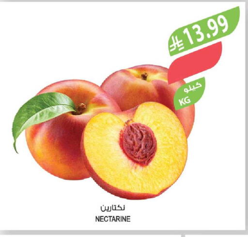 Nectarine available at Farm  in KSA, Saudi Arabia, Saudi - Yanbu