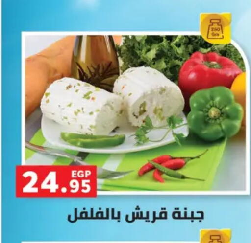 available at بنده in Egypt - القاهرة