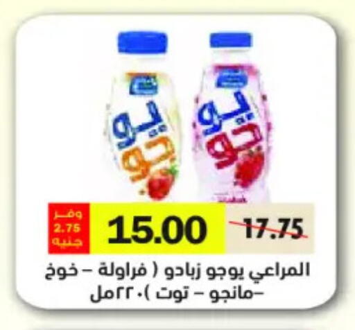 available at رويال هاوس in Egypt - القاهرة