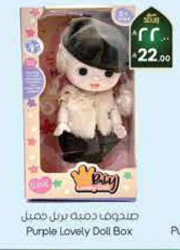 available at City Flower in KSA, Saudi Arabia, Saudi - Jubail