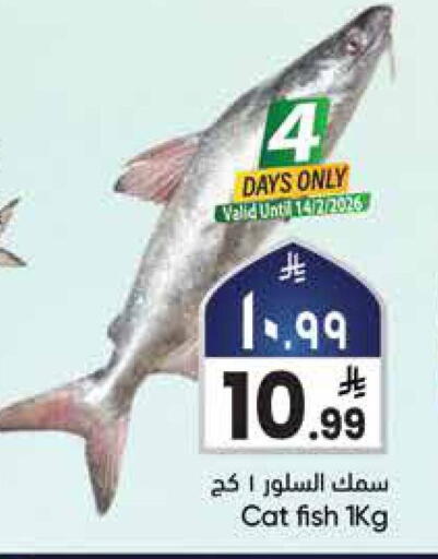 available at ستي فلاور in مملكة العربية السعودية, السعودية, سعودية - سكاكا