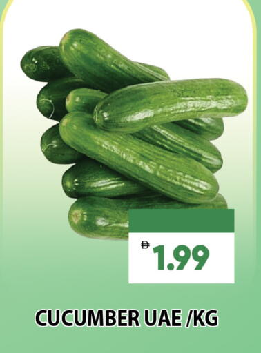 Cucumber available at Leptis Hypermarket  in UAE - Al Ain