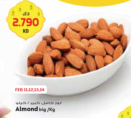 available at Grand Hyper in Kuwait - Ahmadi Governorate