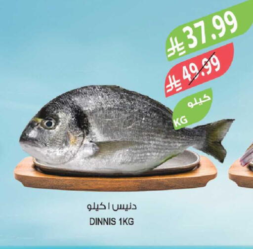 available at المزرعة in مملكة العربية السعودية, السعودية, سعودية - الخبر‎