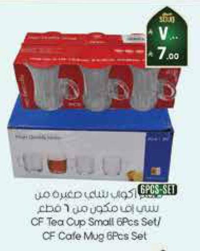 available at City Flower in KSA, Saudi Arabia, Saudi - Hail