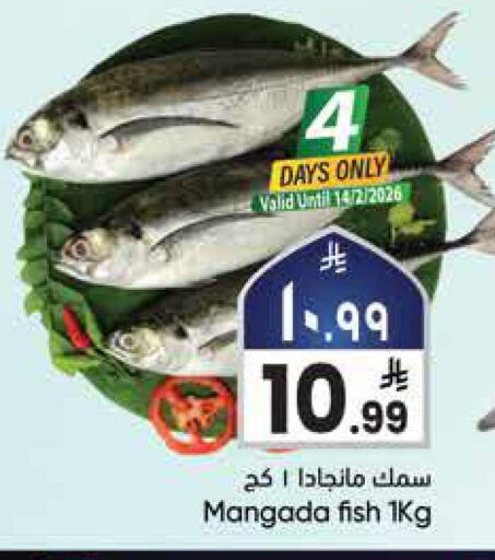 available at ستي فلاور in مملكة العربية السعودية, السعودية, سعودية - سكاكا