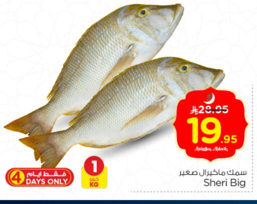 available at Nesto in KSA, Saudi Arabia, Saudi - Riyadh