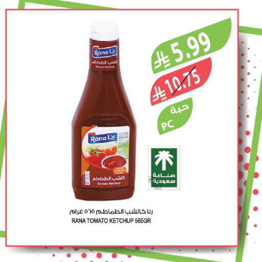 Tomato available at Farm  in KSA, Saudi Arabia, Saudi - Al-Kharj