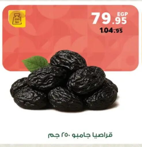 available at بنده in Egypt - القاهرة
