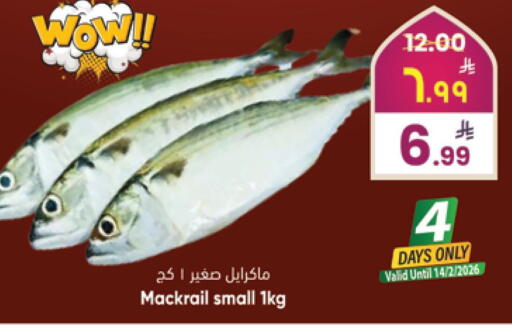 available at City Flower in KSA, Saudi Arabia, Saudi - Jubail