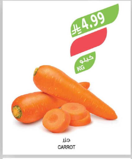 Carrot available at المزرعة in مملكة العربية السعودية, السعودية, سعودية - الخرج