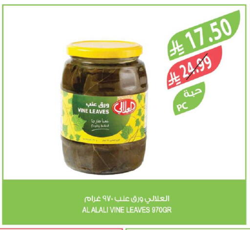 available at Farm  in KSA, Saudi Arabia, Saudi - Yanbu