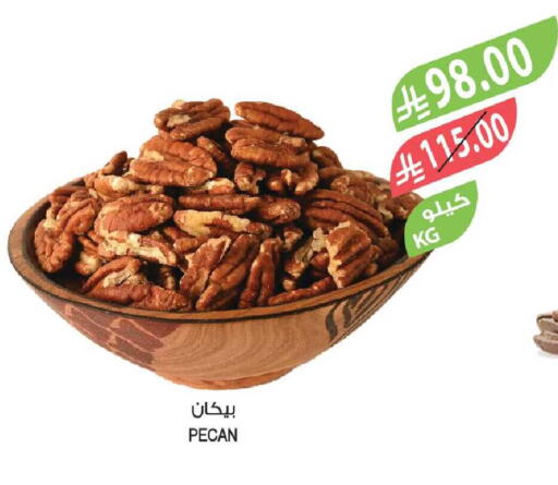 available at Farm  in KSA, Saudi Arabia, Saudi - Yanbu