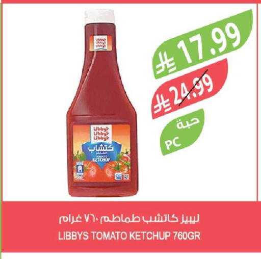 Tomato available at Farm  in KSA, Saudi Arabia, Saudi - Yanbu