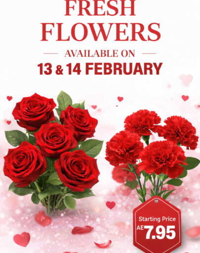 available at ويست زون سوبرماركت in الإمارات العربية المتحدة , الامارات - دبي