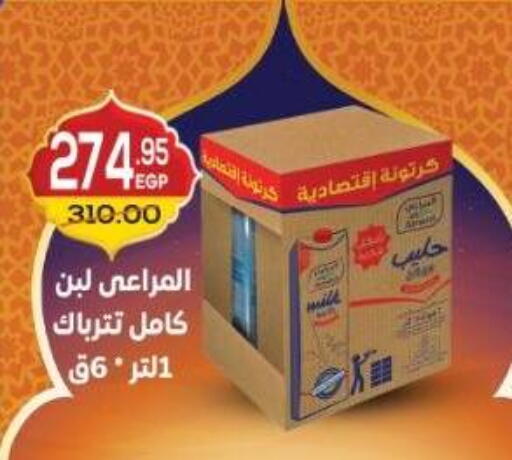 available at Dream Market in Egypt - Cairo