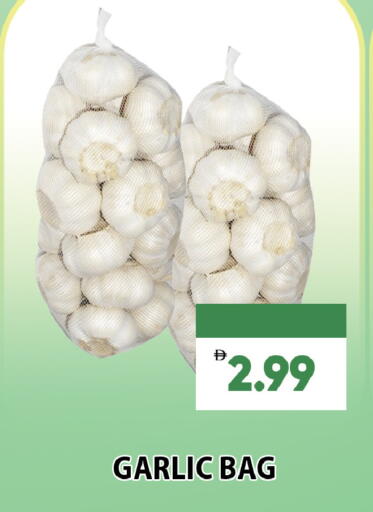 Garlic available at Leptis Hypermarket  in UAE - Al Ain