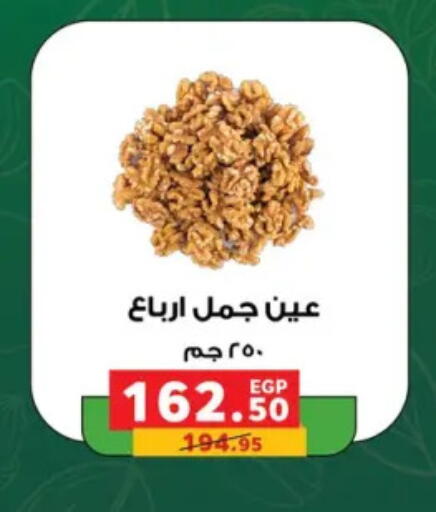available at بنده in Egypt - القاهرة
