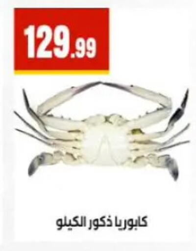 available at المحلاوي ستورز in Egypt - القاهرة