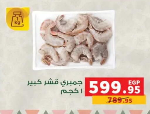 available at بنده in Egypt - القاهرة