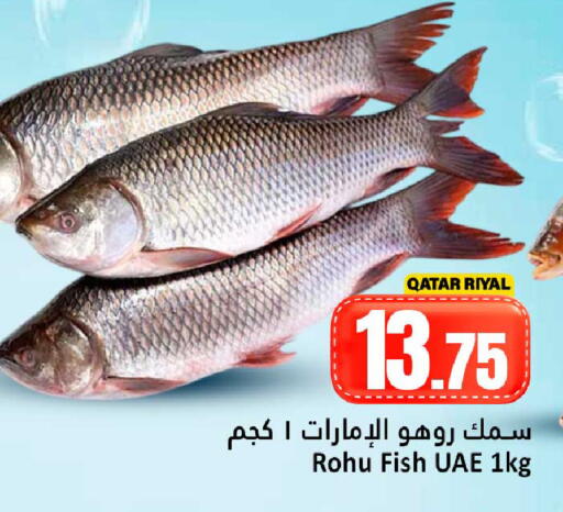 available at دانة هايبرماركت in قطر - الشمال