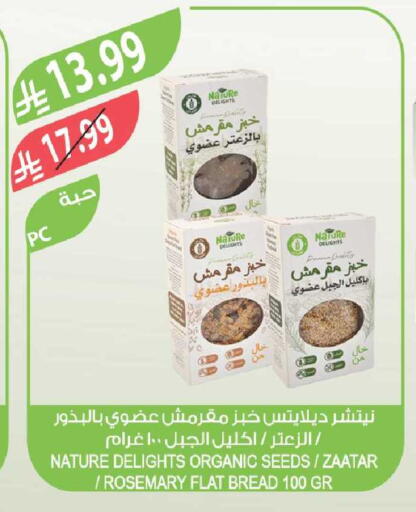 Rosemary available at Farm  in KSA, Saudi Arabia, Saudi - Al-Kharj