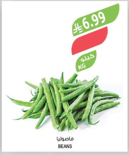 available at المزرعة in مملكة العربية السعودية, السعودية, سعودية - الخرج