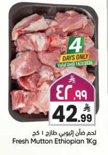 available at ستي فلاور in مملكة العربية السعودية, السعودية, سعودية - سكاكا