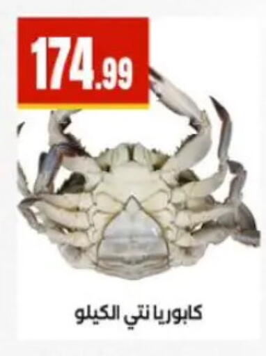 available at المحلاوي ستورز in Egypt - القاهرة