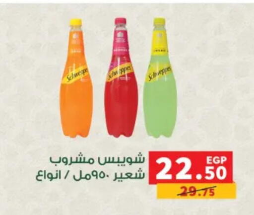 available at Panda  in Egypt - Cairo