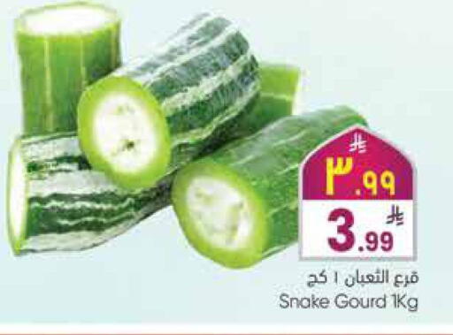 available at City Flower in KSA, Saudi Arabia, Saudi - Jubail
