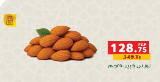 available at بنده in Egypt - القاهرة