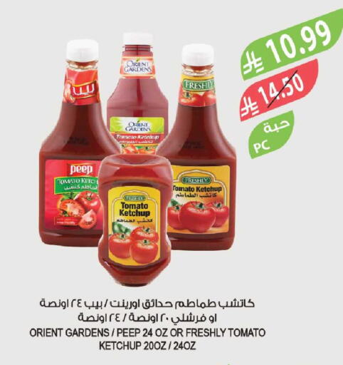 Tomato available at Farm  in KSA, Saudi Arabia, Saudi - Yanbu