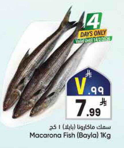 available at ستي فلاور in مملكة العربية السعودية, السعودية, سعودية - الرياض