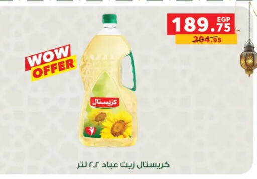 available at بنده in Egypt - القاهرة