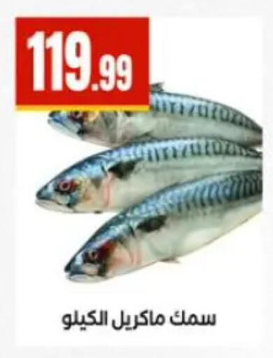 available at مارت فيل in Egypt - القاهرة