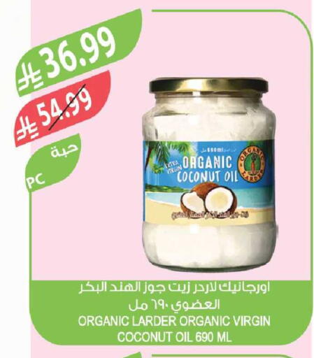 Coconut available at Farm  in KSA, Saudi Arabia, Saudi - Sakaka