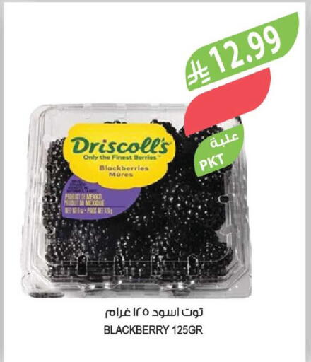 Blackberry from Mexico available at Farm  in KSA, Saudi Arabia, Saudi - Yanbu
