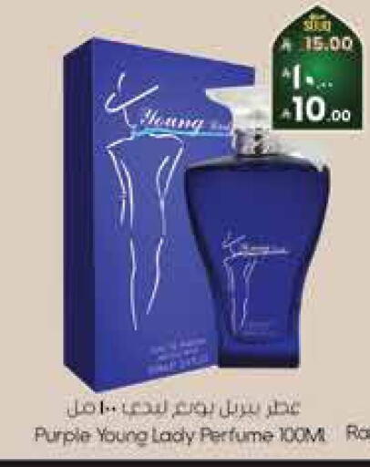 available at City Flower in KSA, Saudi Arabia, Saudi - Jubail